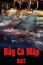 Bẫy Cá Mập - Bẫy Cá Mập (2013)