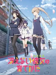 Saekano: Phương pháp đào tạo bạn gái - Saekano: Phương pháp đào tạo bạn gái (2015)