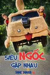 Siêu Ngốc Gặp Nhau - Siêu Ngốc Gặp Nhau (2014)